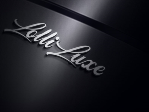 Logo Design by designlogo007 for Design Skinz | Design: #12351766