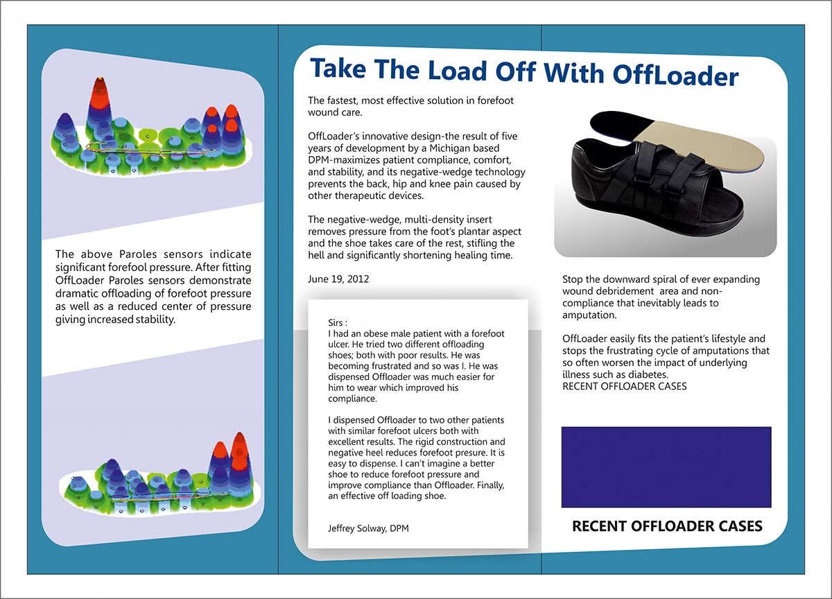 Brochure Design by dkthedon for this project | Design #2463113