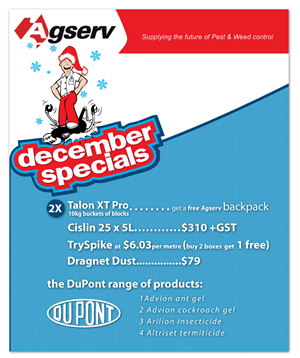 Flyer Design by ficiuc flavius