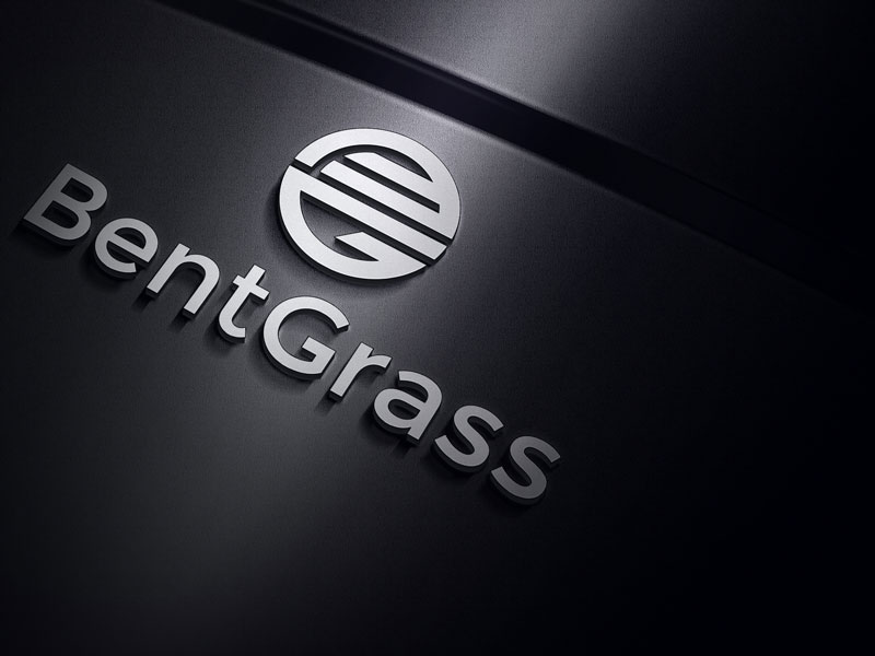 Logo Design by designlogo007 for this project | Design #12360114