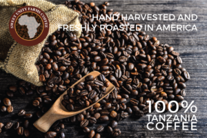 Flyer Design by designkolektiv for this project | Design: #12374496