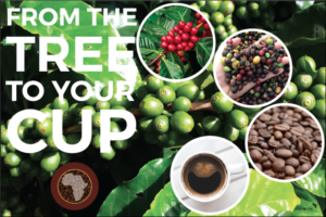 Flyer Design by designkolektiv for this project | Design: #12404494