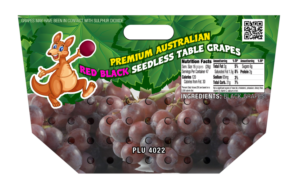 Packaging Design by TheBrandForYou.Com