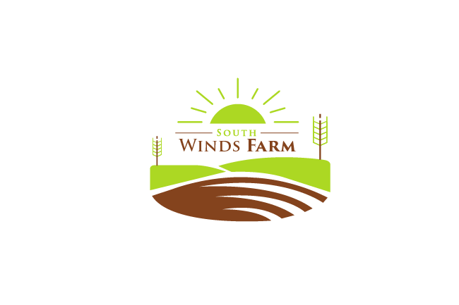 Design de Logo par Turn Digital pour ce projet | Design #12374156