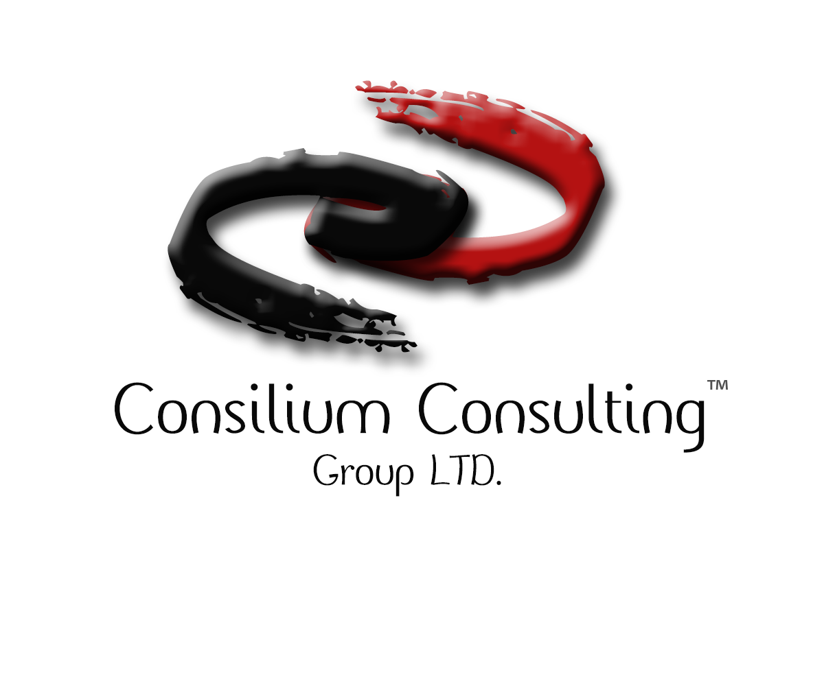 Logo Design by Khizer Khalid for this project | Design #2432959