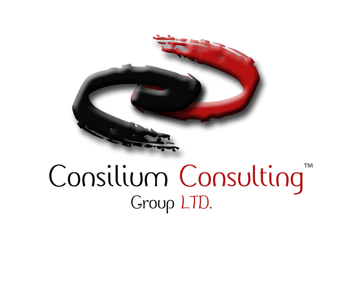 Logo Design by Khizer Khalid for this project | Design #2432962