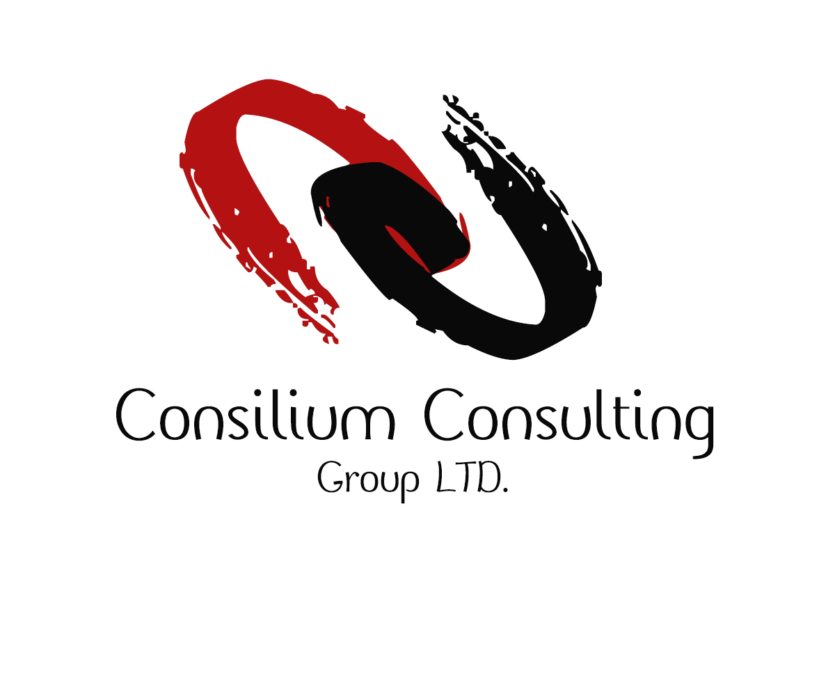 Logo Design by Khizer Khalid for this project | Design #2432965