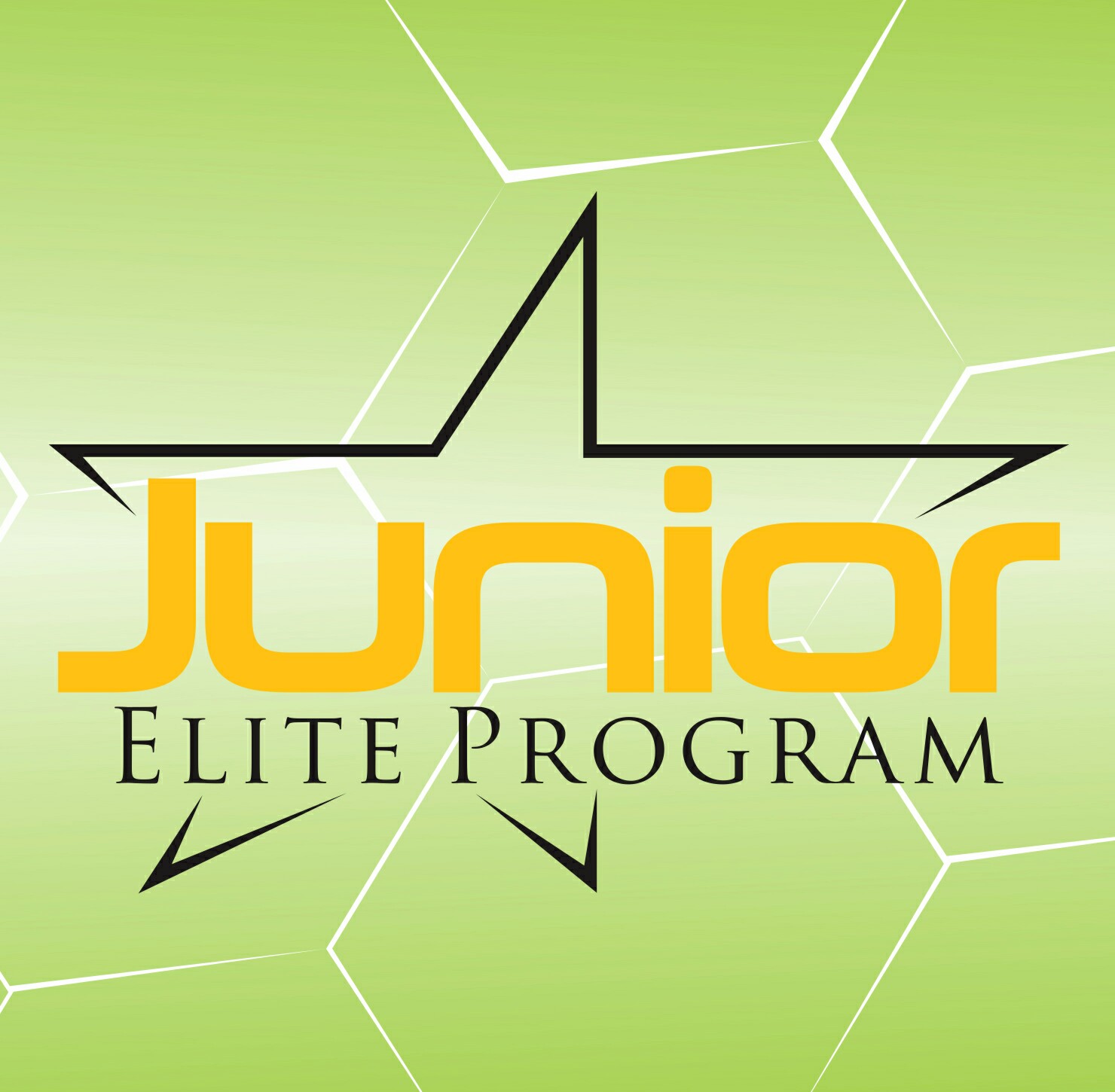 Logo Design by Rizal Bagus for this project | Design #12380005