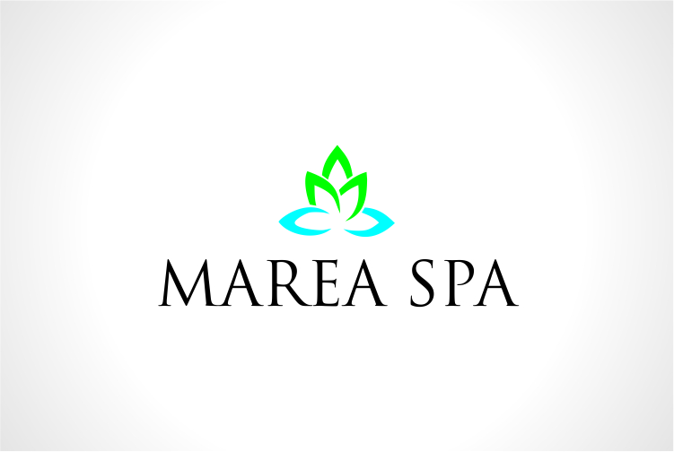 Design de Logo par PaperLine pour Atabey Spa | Design #12420284
