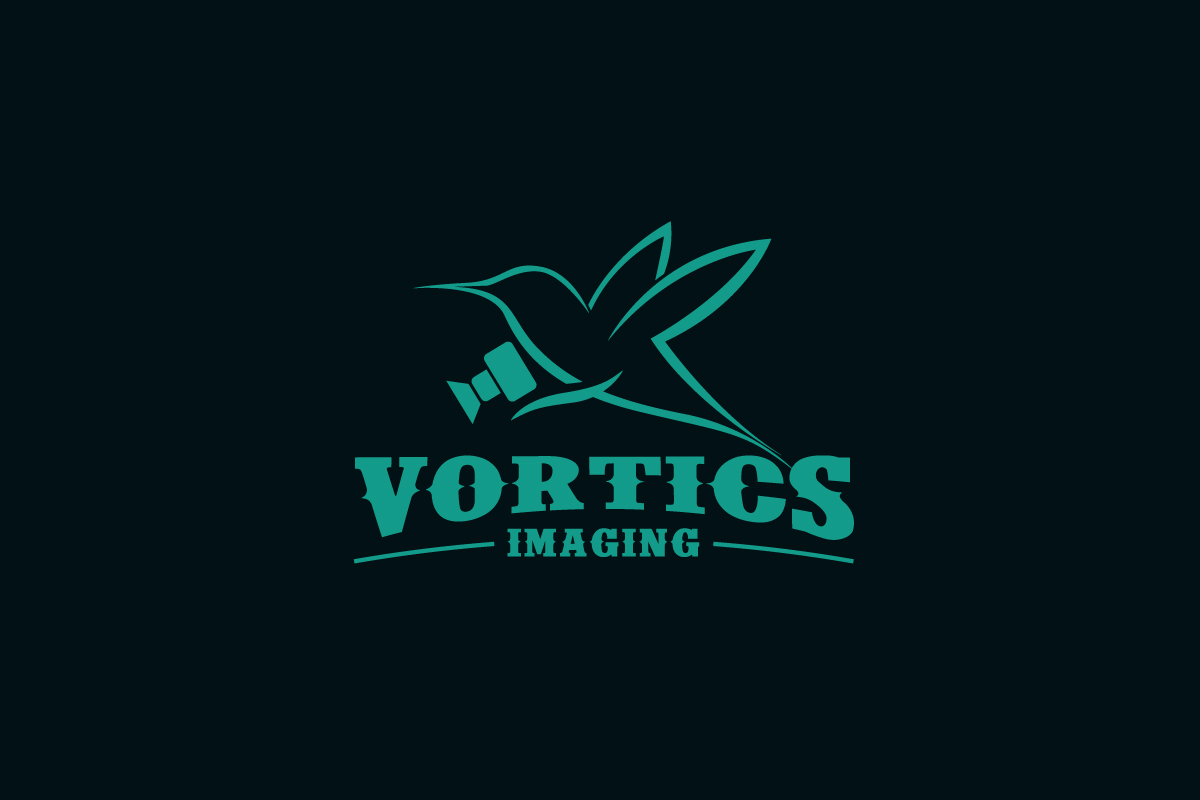 Design de Logo par ideaz2050 pour Vortics Imaging | Design #12374698