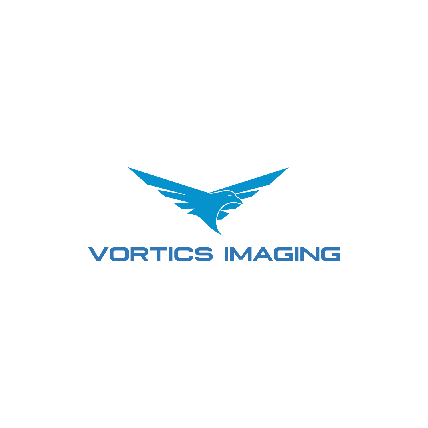 Logo Design by valentinusgembel for Vortics Imaging | Design #12372824