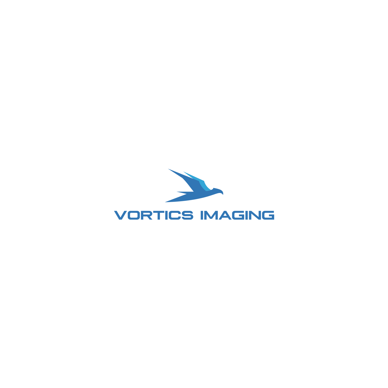 Design de Logo par valentinusgembel pour Vortics Imaging | Design #12372828