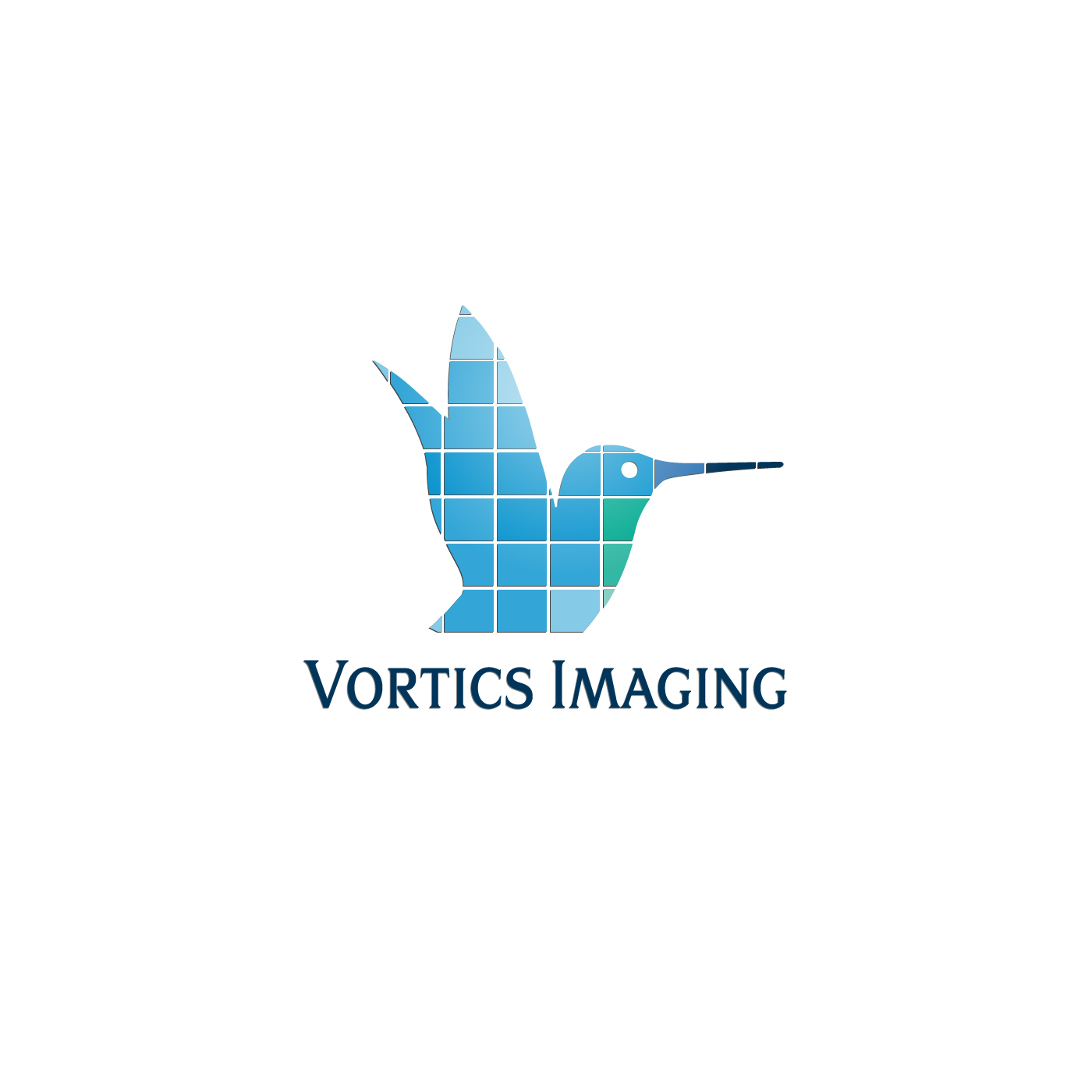 Logo Design by Adrian-Alexandru Barus for Vortics Imaging | Design #12386179