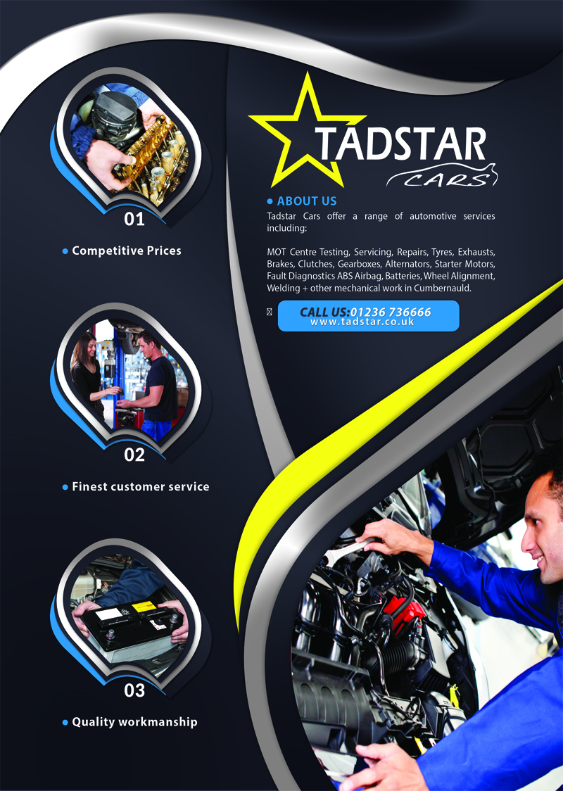 Flyer Design by lpgiraud for Tadstar Ltd | Design #2420999