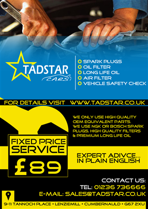 Flyer Design by ketoprofen for Tadstar Ltd | Design: #2402438