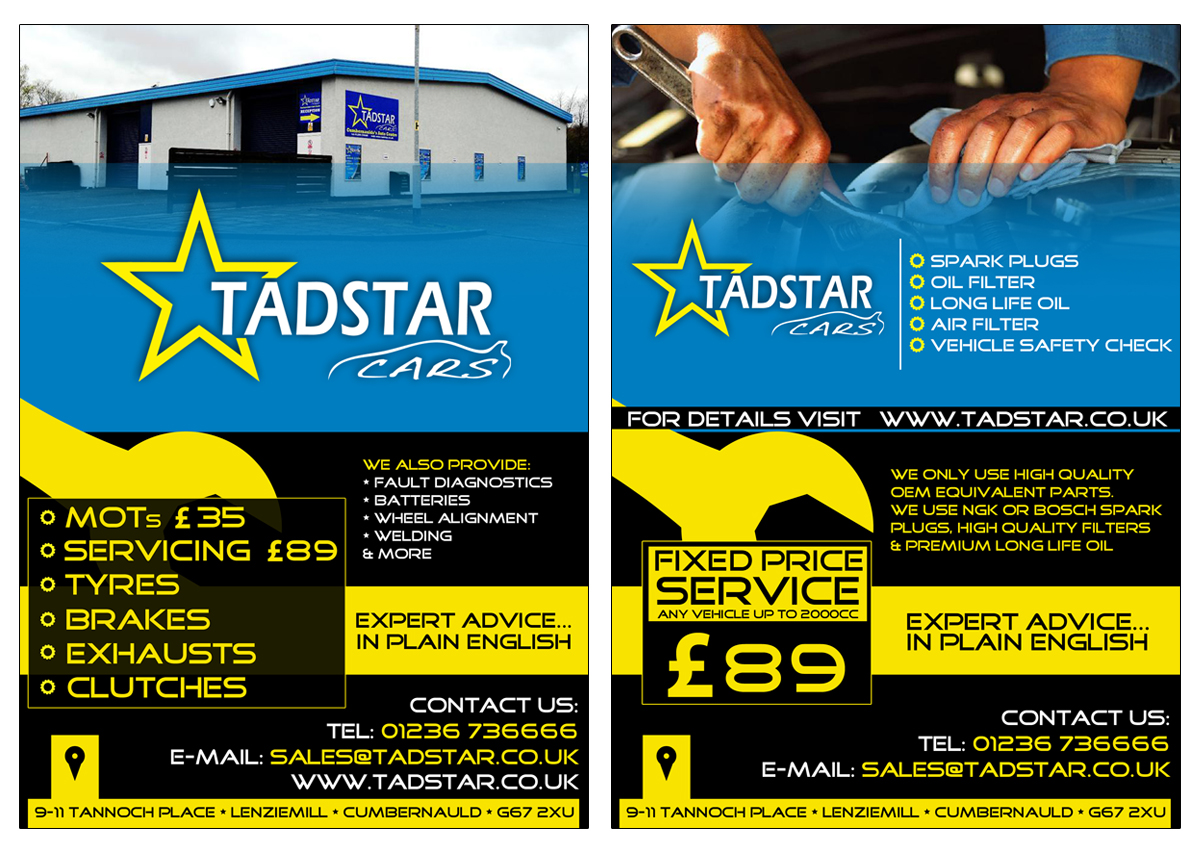 Flyer Design by ketoprofen for Tadstar Ltd | Design #2402820