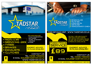 Flyer Design by ketoprofen for Tadstar Ltd | Design: #2402820