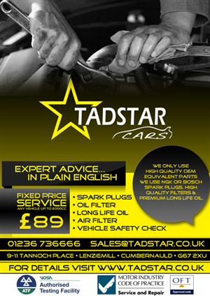 Flyer Design by ketoprofen for Tadstar Ltd | Design: #2441658