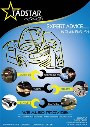 Diseño de Flyer por D9art para Tadstar Ltd | Diseño #2603970