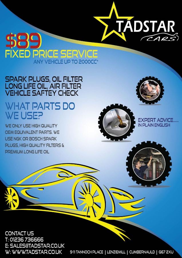 Flyer Design by D9art for Tadstar Ltd | Design #2603975