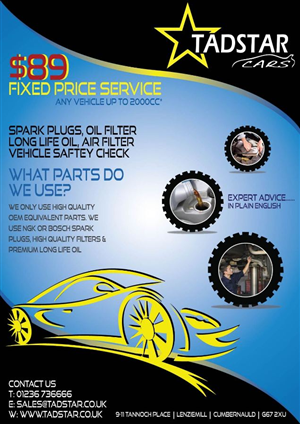 Flyer Design by D9art for Tadstar Ltd | Design: #2603975