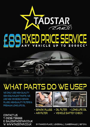 Flyer Design by D9art for Tadstar Ltd | Design: #2603982
