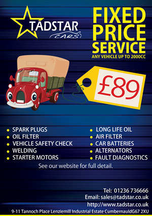 Flyer Design by zack for Tadstar Ltd | Design: #2517611