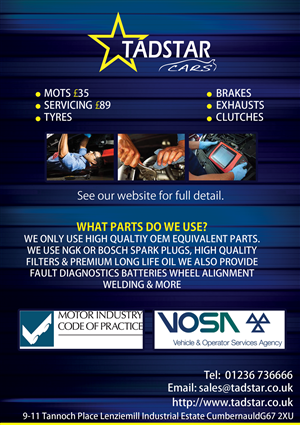 Flyer Design by zack for Tadstar Ltd | Design: #2517629