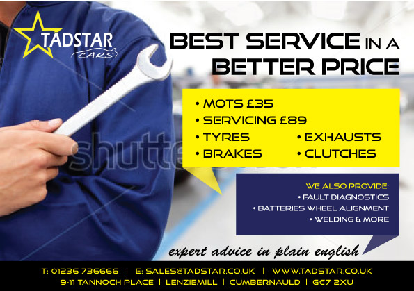 Flyer Design by feline the cat for Tadstar Ltd | Design #2447864