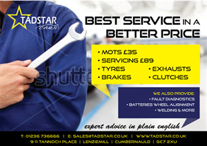 Flyer Design by feline the cat for Tadstar Ltd | Design: #2447864