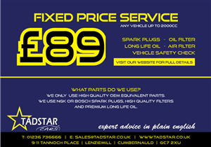 Flyer Design by feline the cat for Tadstar Ltd | Design: #2447897