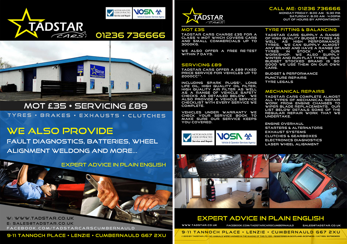 Flyer Design by Amritvir for Tadstar Ltd | Design #2510176