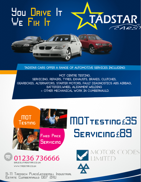 Design de Flyer par Salomon Pa pour Tadstar Ltd | Design #2402573
