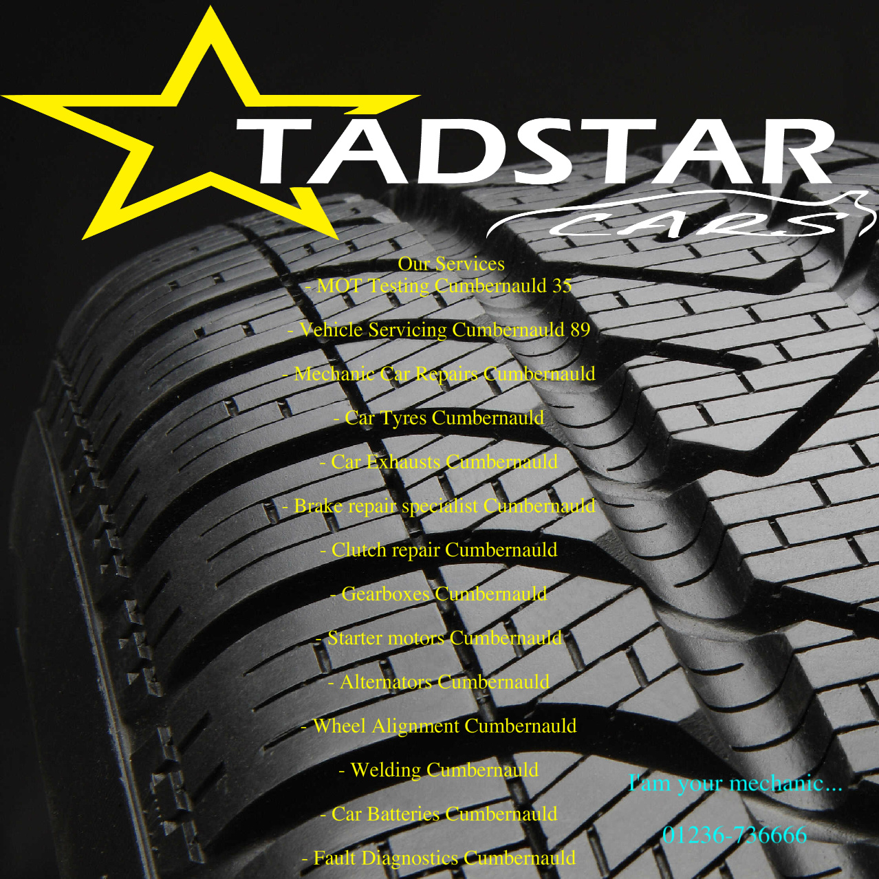 Flyer Design by Usamah Shafi for Tadstar Ltd | Design #2436988