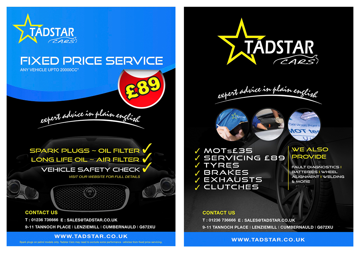 Flyer Design by the kaveman for Tadstar Ltd | Design #2536156