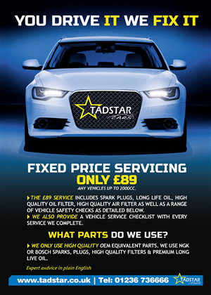 Flyer Design by Andreev for Tadstar Ltd | Design: #2449914