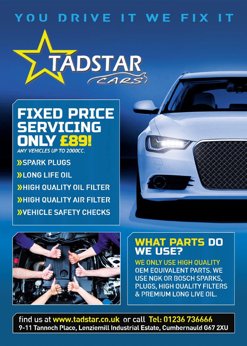 Design de Flyer par Andreev pour Tadstar Ltd | Design #2454396