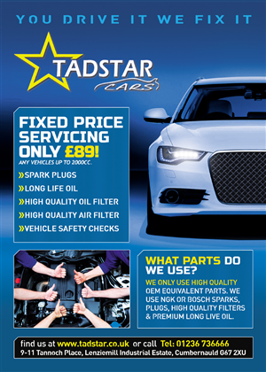 Flyer Design by Andreev for Tadstar Ltd | Design: #2454396