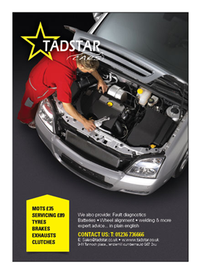 Diseño de Flyer por MasterMind para Tadstar Ltd | Diseño #2822167