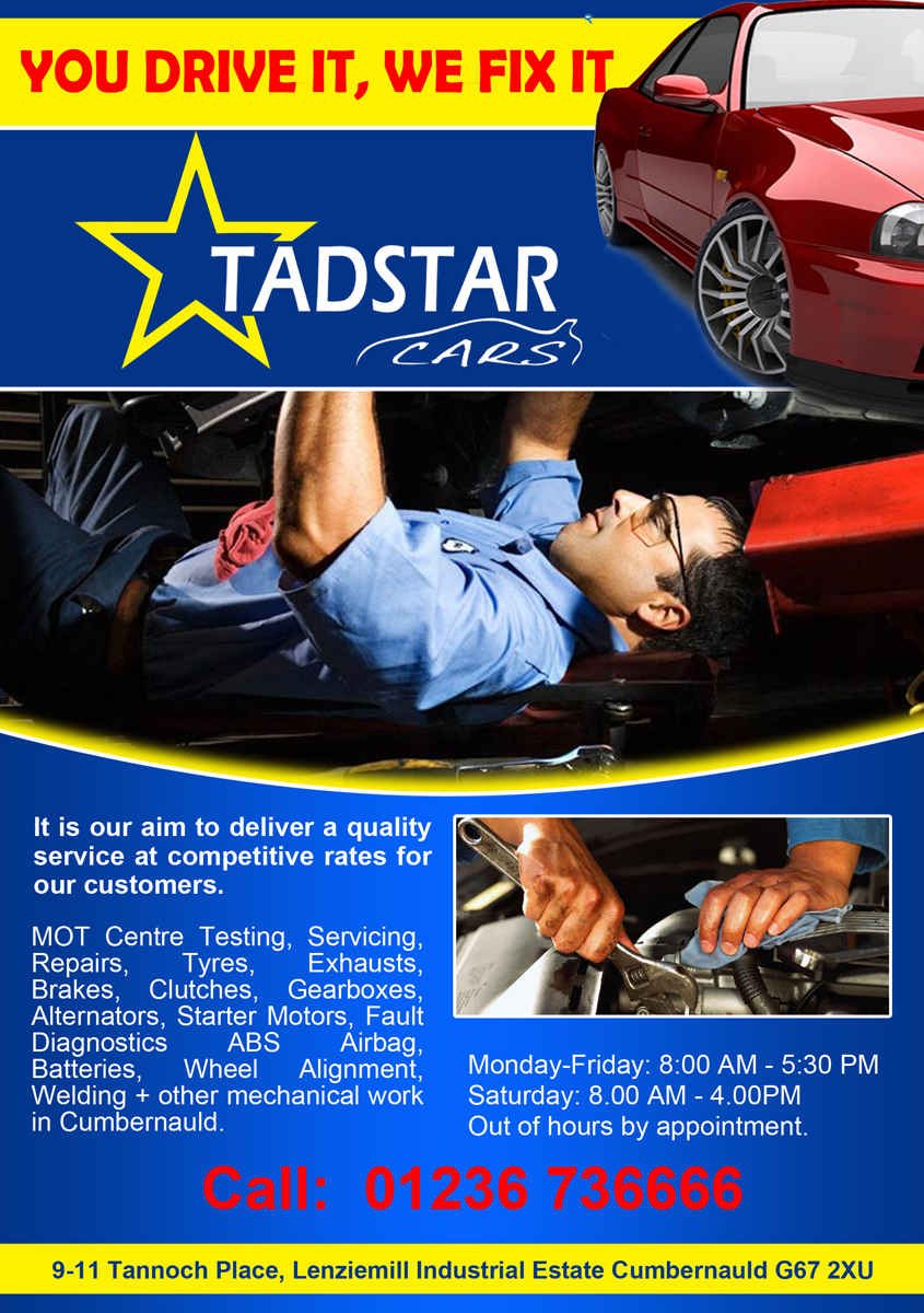 Flyer Design by noelopan1955 for Tadstar Ltd | Design #2435962