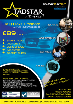 Flyer Design by VEGA-Designs for Tadstar Ltd | Design: #2403987