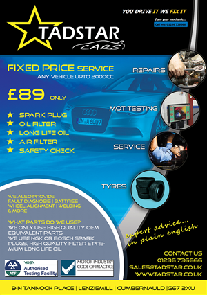 Flyer Design by VEGA-Designs for Tadstar Ltd | Design: #2404023