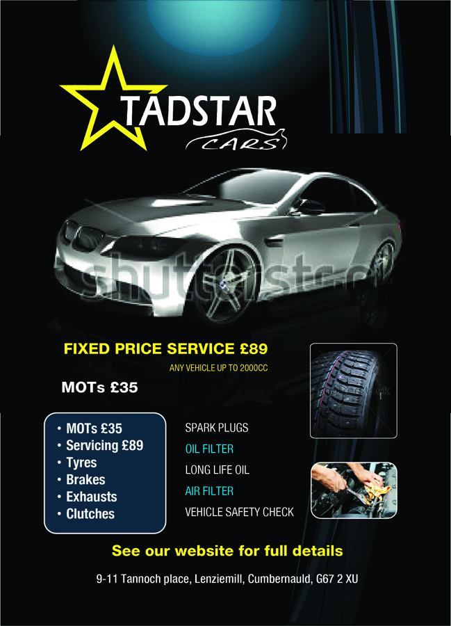 Design de Flyer par AHGlobaldesign pour Tadstar Ltd | Design #2806899