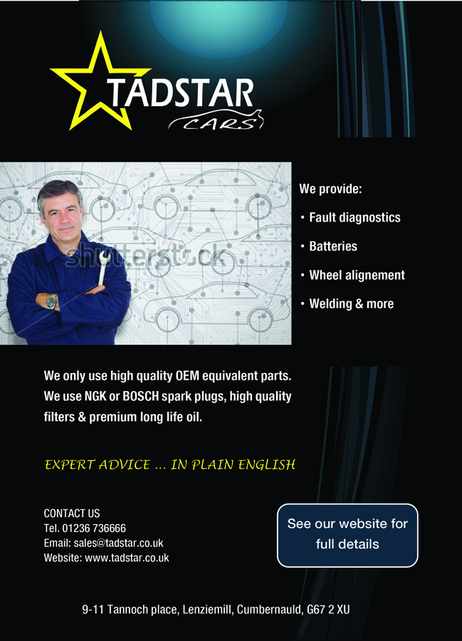 Flyer Design by AHGlobaldesign for Tadstar Ltd | Design #2806910