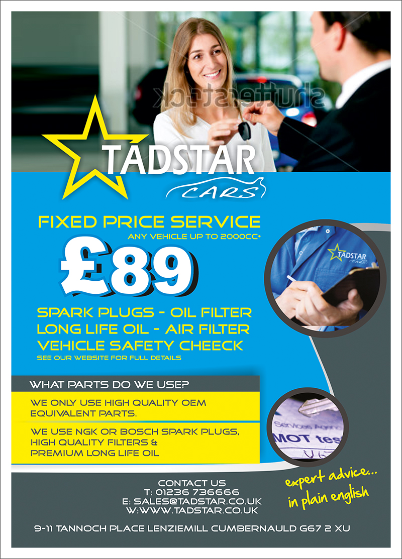 Flyer Design by dkthedon for Tadstar Ltd | Design #2452768