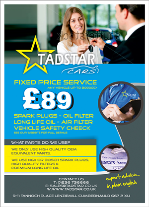 Flyer Design by dkthedon for Tadstar Ltd | Design: #2452768