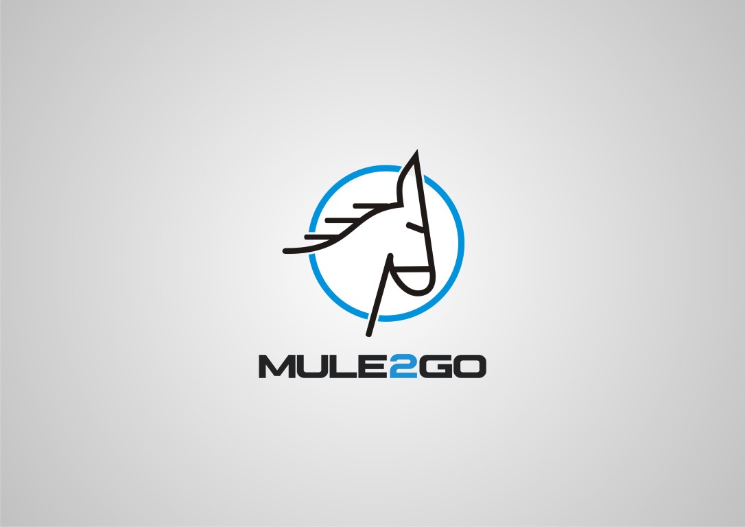 Character Design by enjoydestroy for this project | Design #12424508