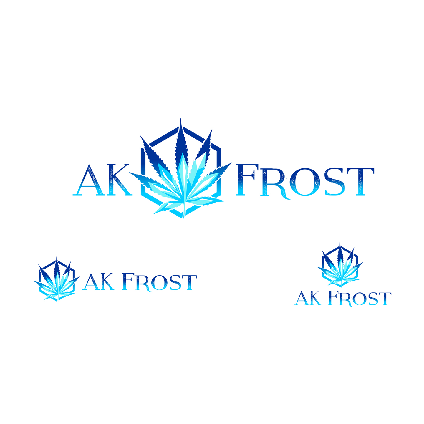 Diseño de Logo por jeffblaire0107 para North ACD | Diseño #12434127