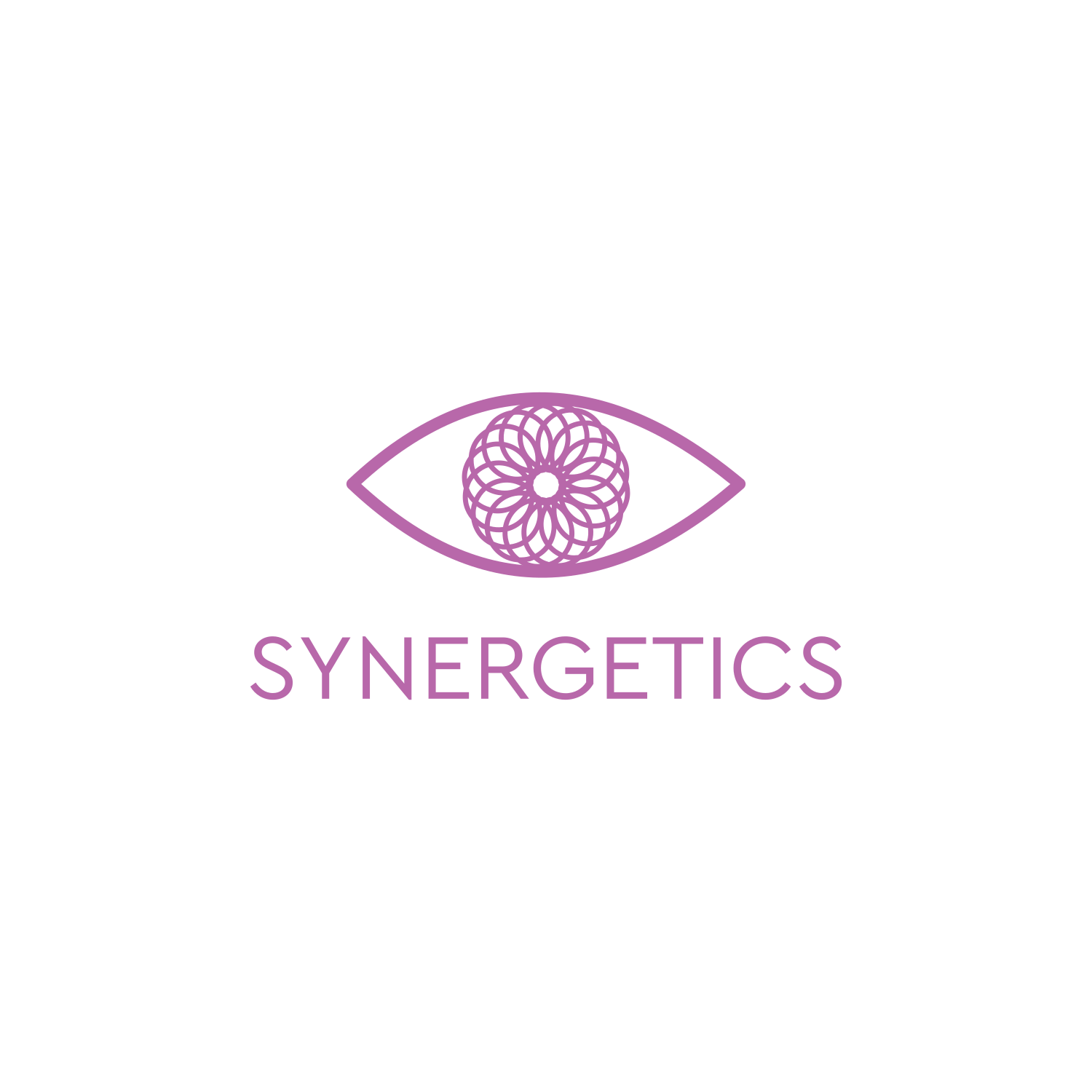 Diseño de Logo por Sintegra para este proyecto | Diseño #12471154