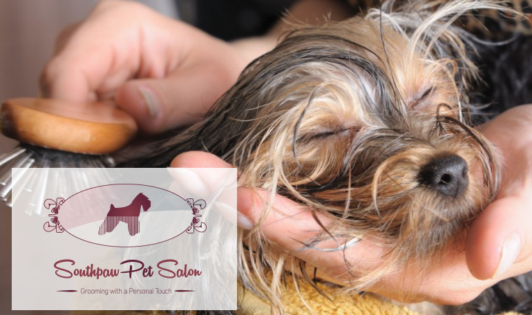 Logo Design by Dimitris V for this project | Design #2444363